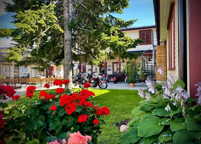 אורחן Aleksandri