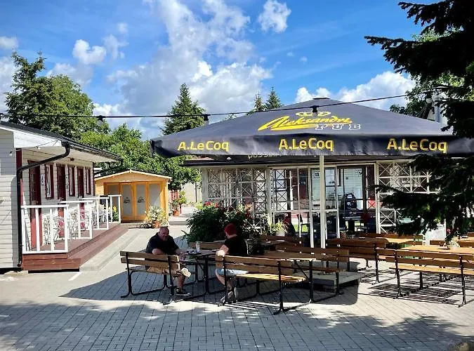 Aleksandri אורחן