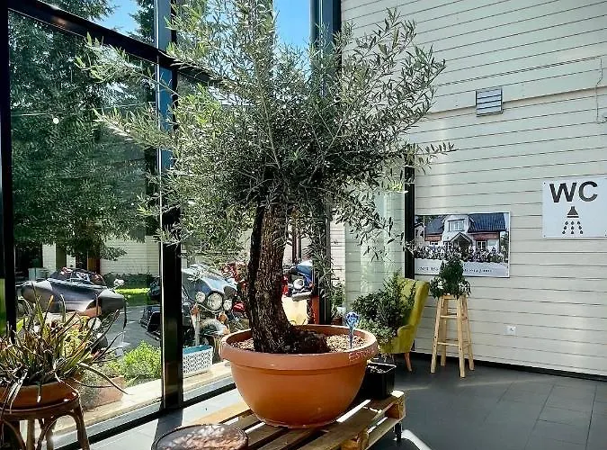 Aleksandri Inn Pärnu