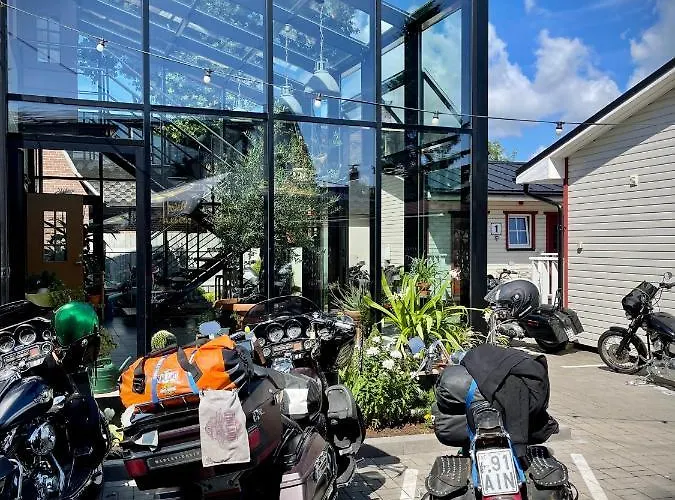 Aleksandri אורחן *