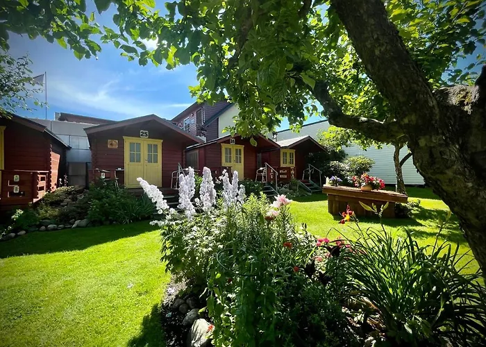 Aleksandri אורחן