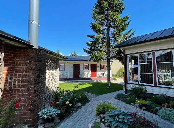 אורחן Aleksandri